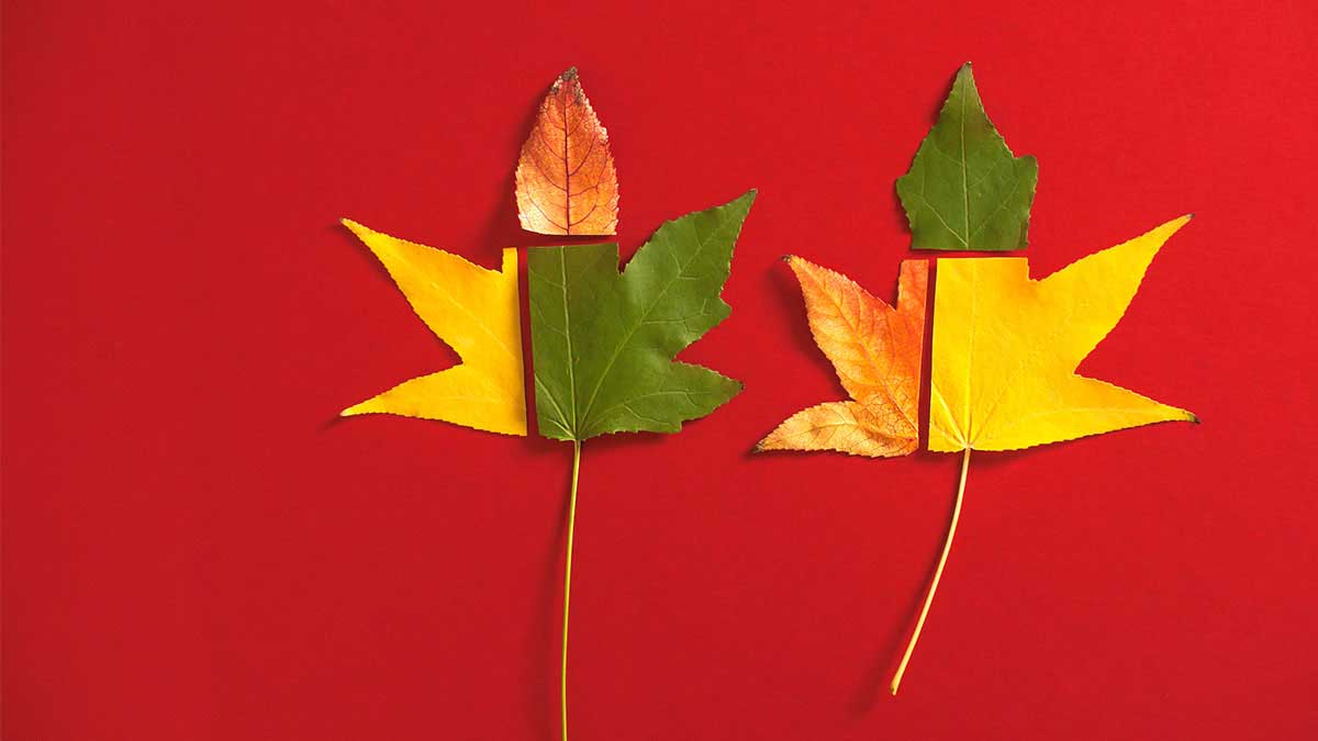 最佳決策須結合資料與經理人專業