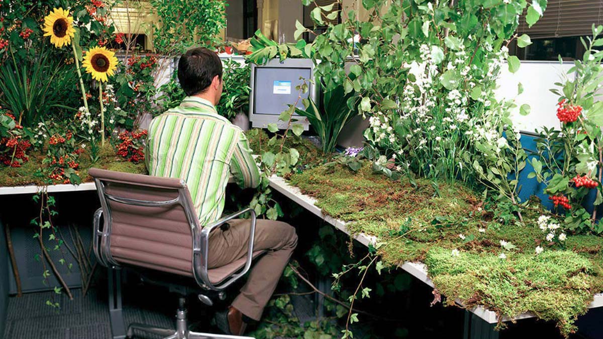 企業對成長心態的五大誤解