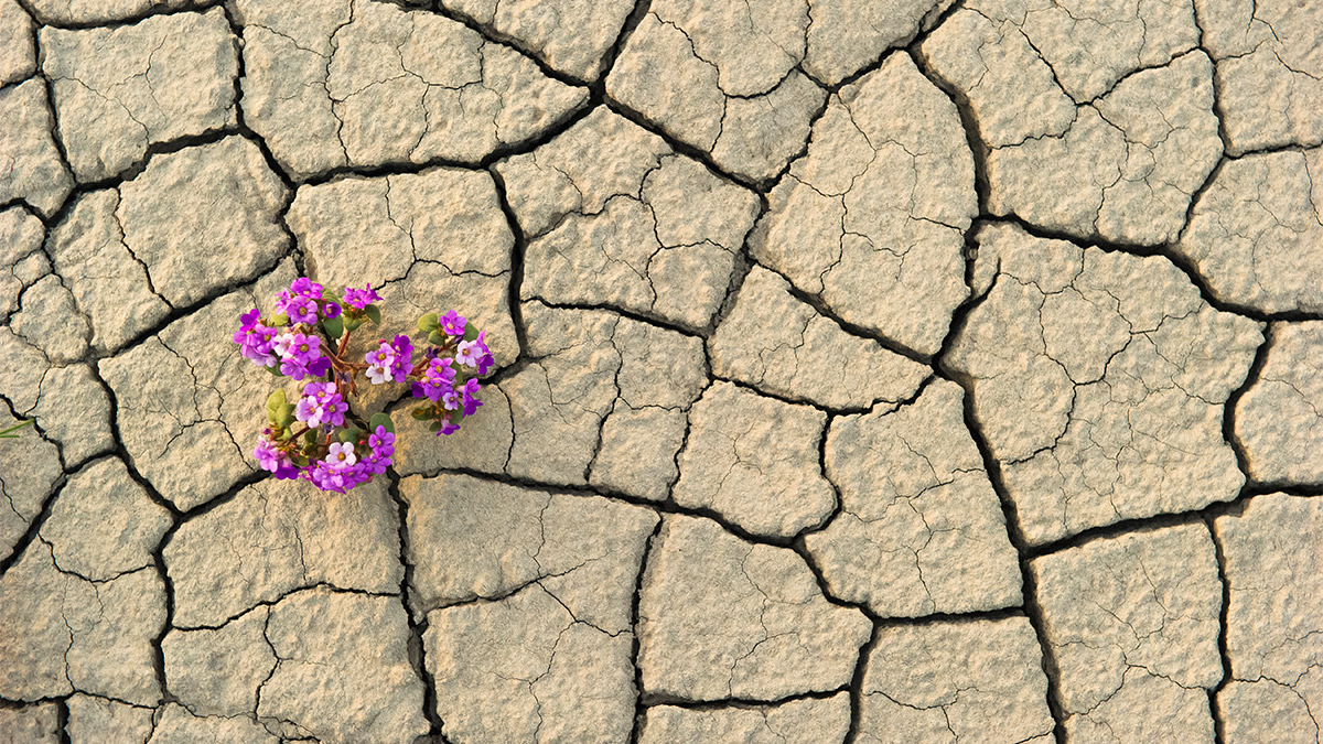 解開你對「韌性」的誤解