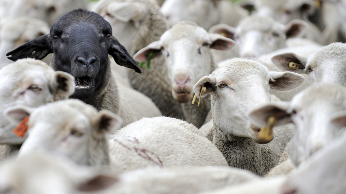 商學院是無能還是邪惡？