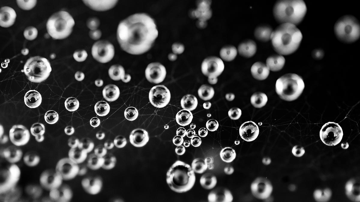 社交媒體如何幫助B2B行銷人員？