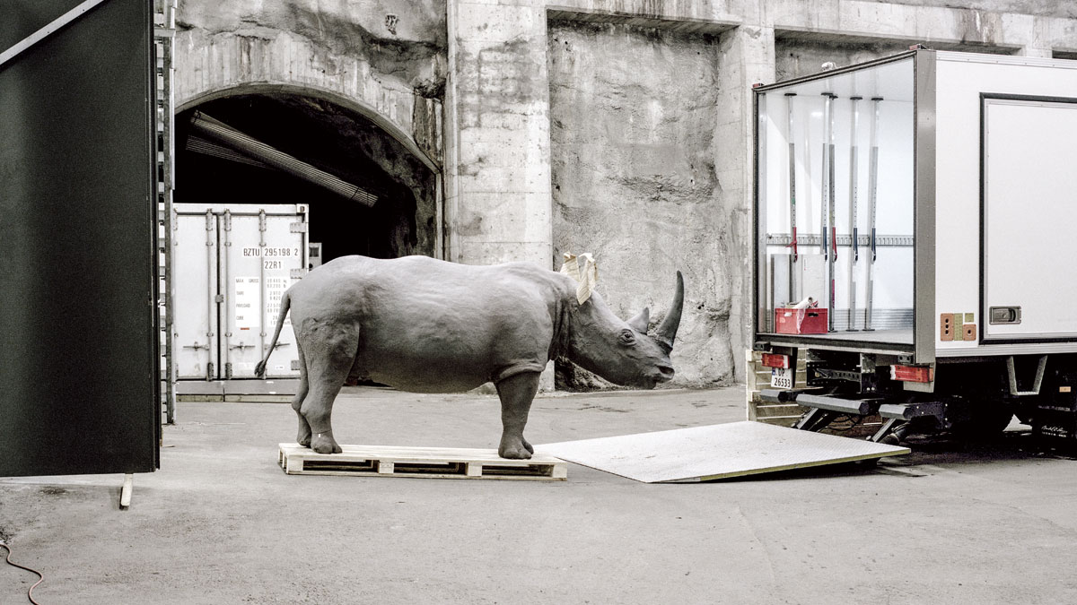 找出異地任職最佳效益