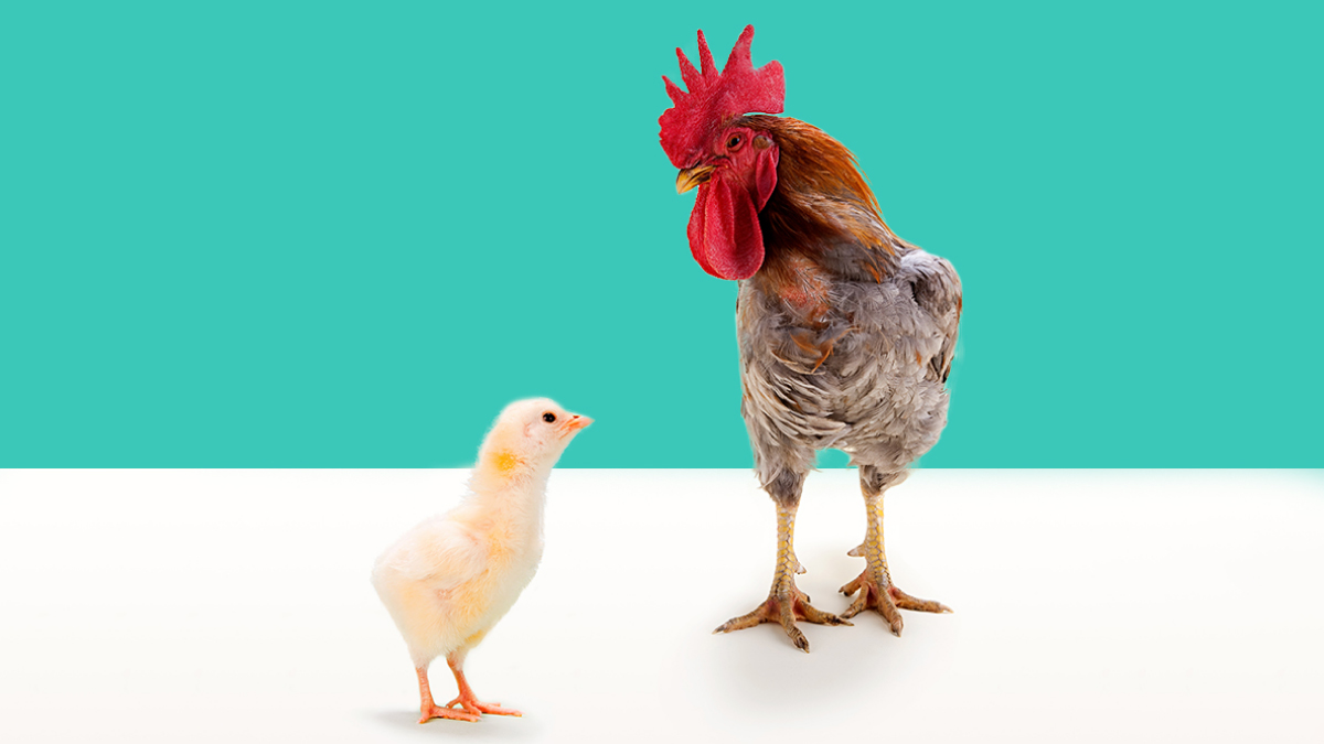 你比部屬年輕又如何