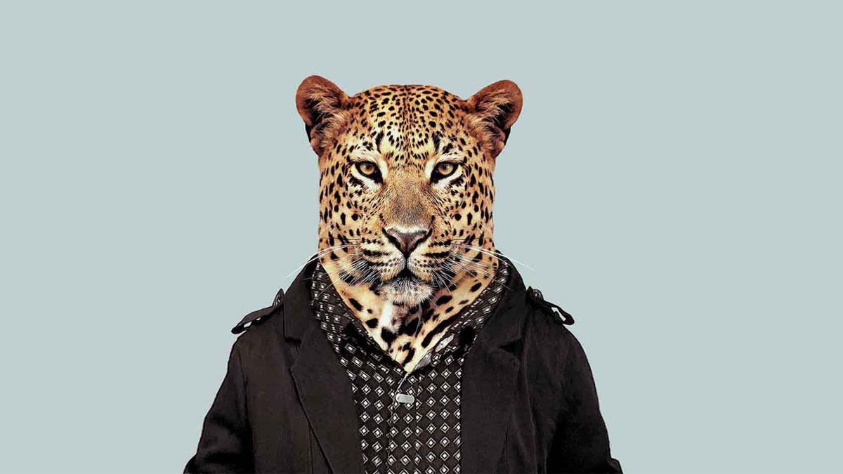 董事長，你不是執行長！