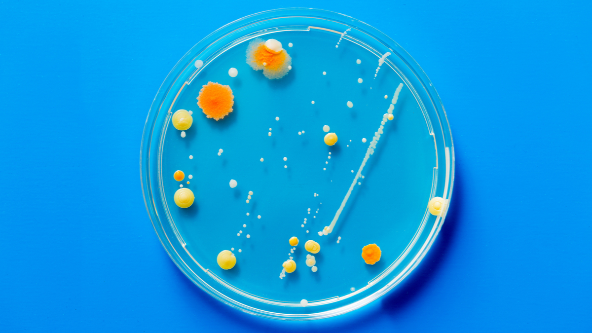 如何在聘雇時運用心理測驗