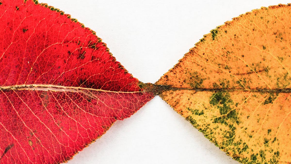 要員工擁抱變革，先強調什麼不變