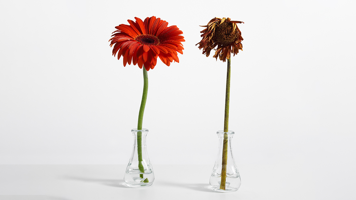 別把壓力傳染給別人