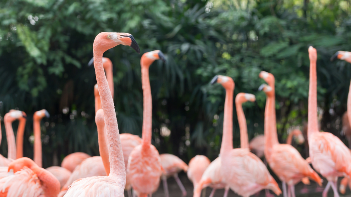 鼓勵員工投入的四個祕密