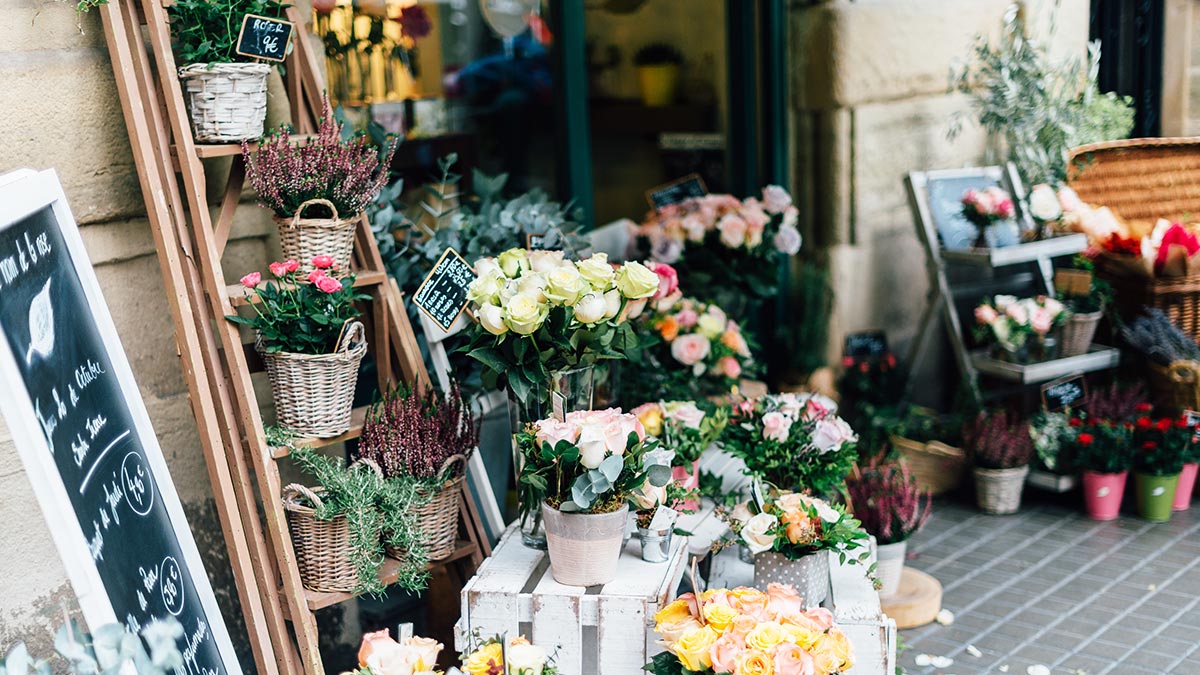 創業可提升年長工作者生活品質