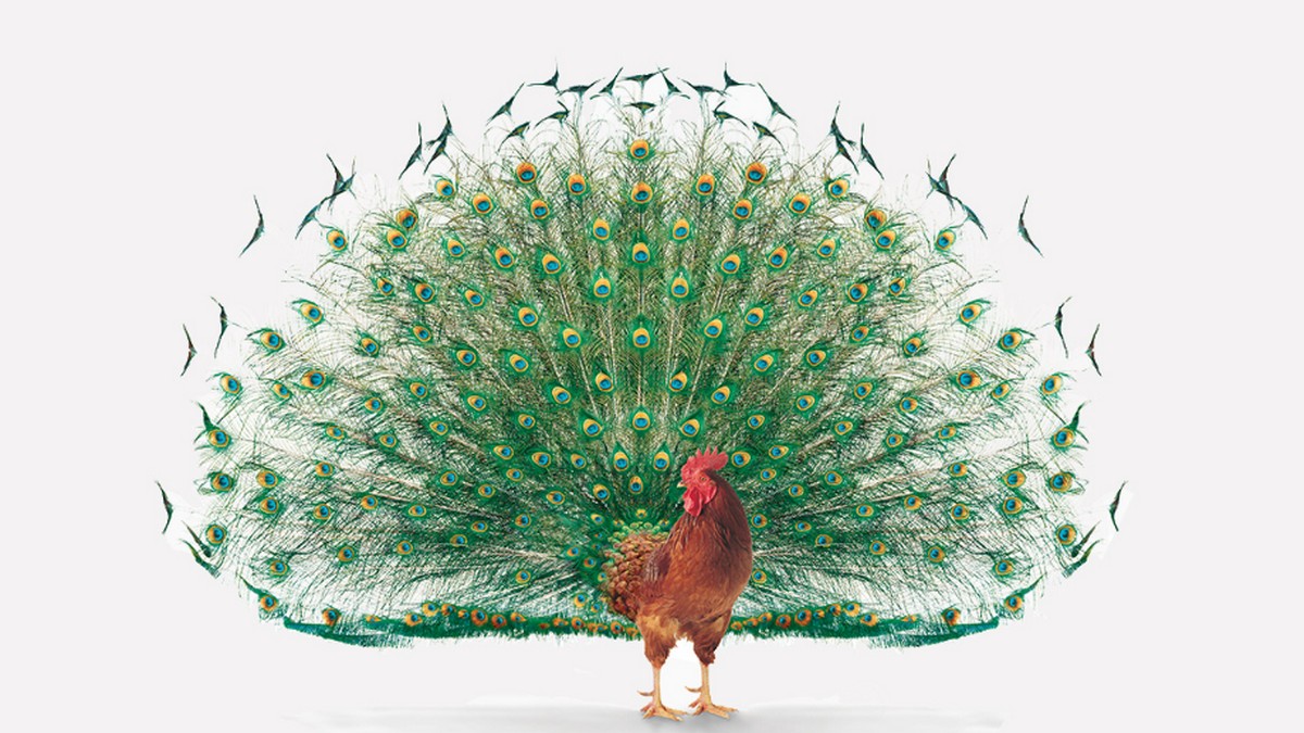 不必完全符合資格才去應徵工作