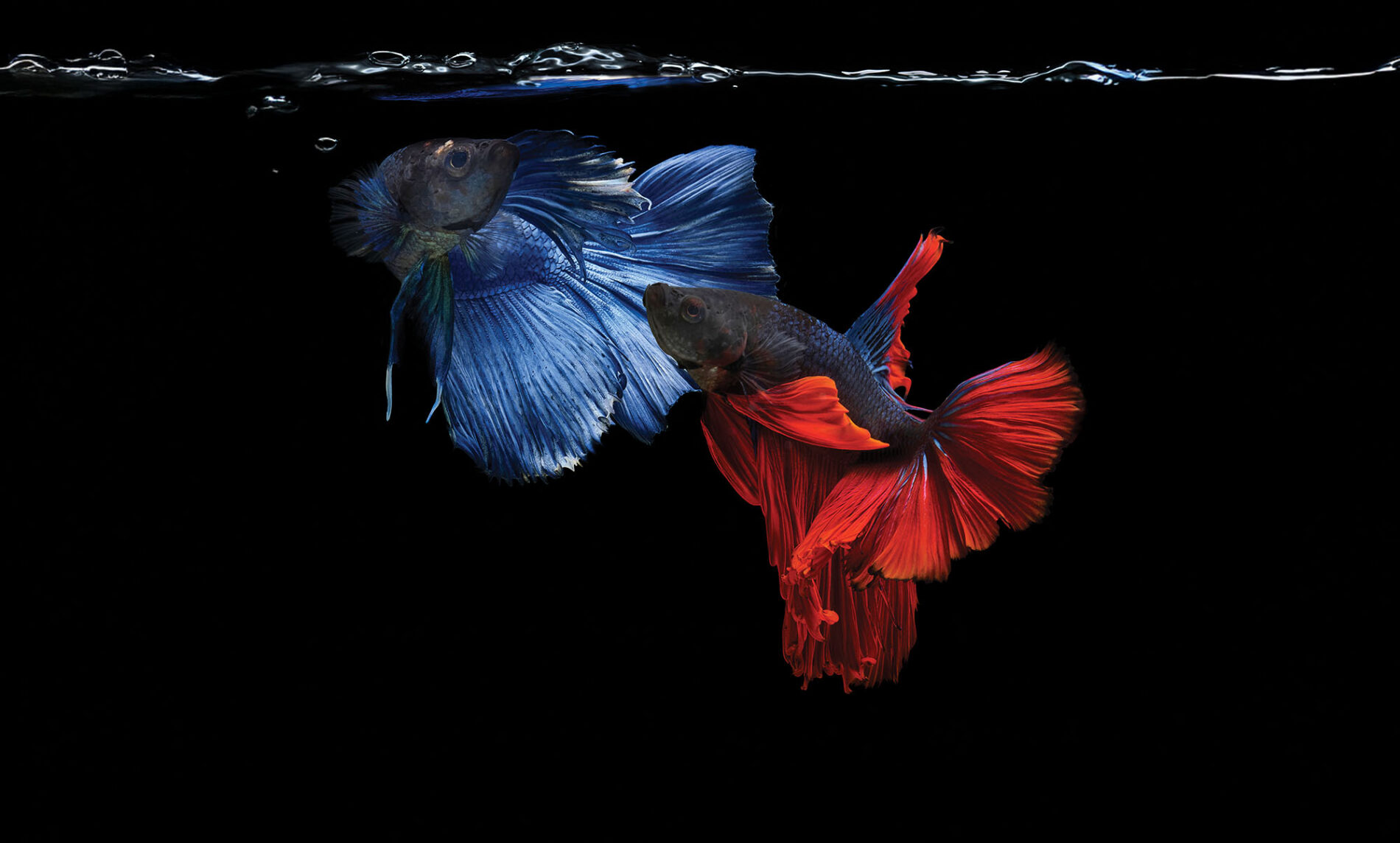 跨文化談判的四大祕訣