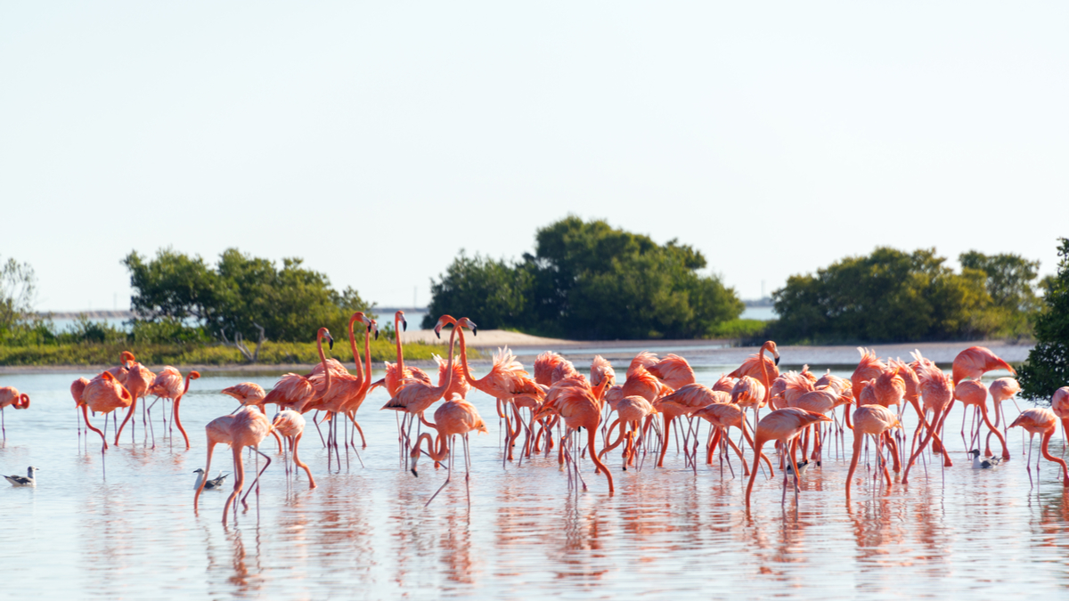 策略不在於你說什麼，而是你做什麼