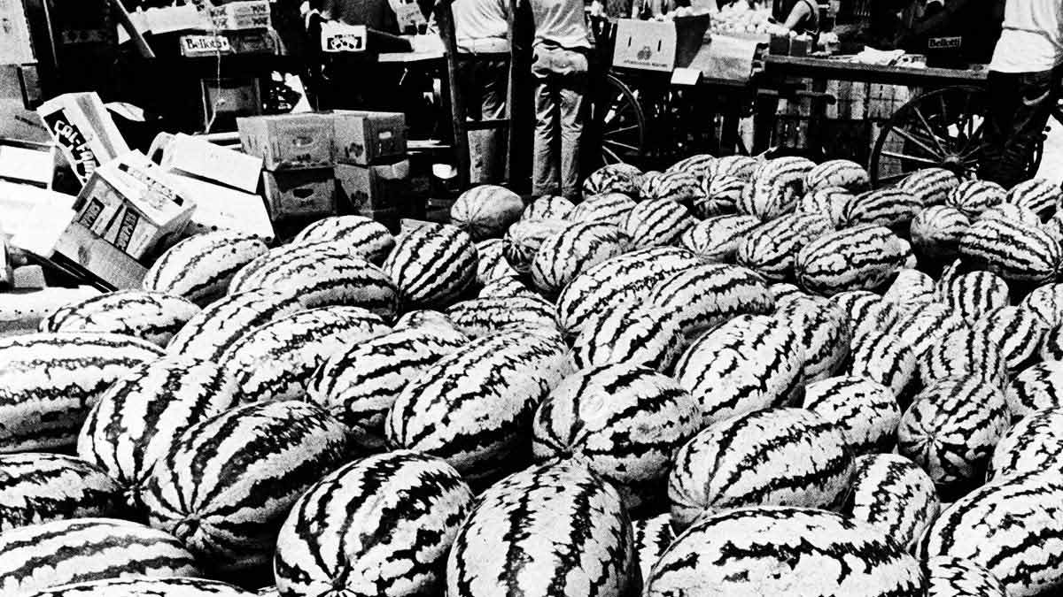 銷售目標計算頻繁，救銷量卻傷利潤