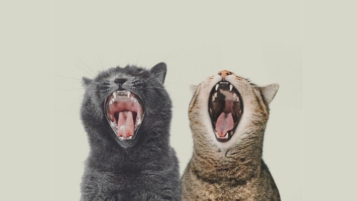 三個方法，讓升遷不成交情在