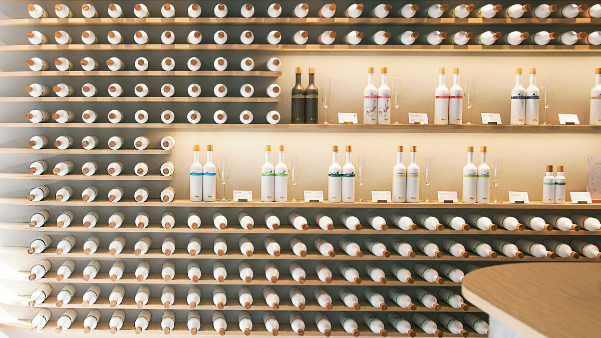 瓶身能種出樹！歐萊德堅持用再生塑料，打造永續綠色模式