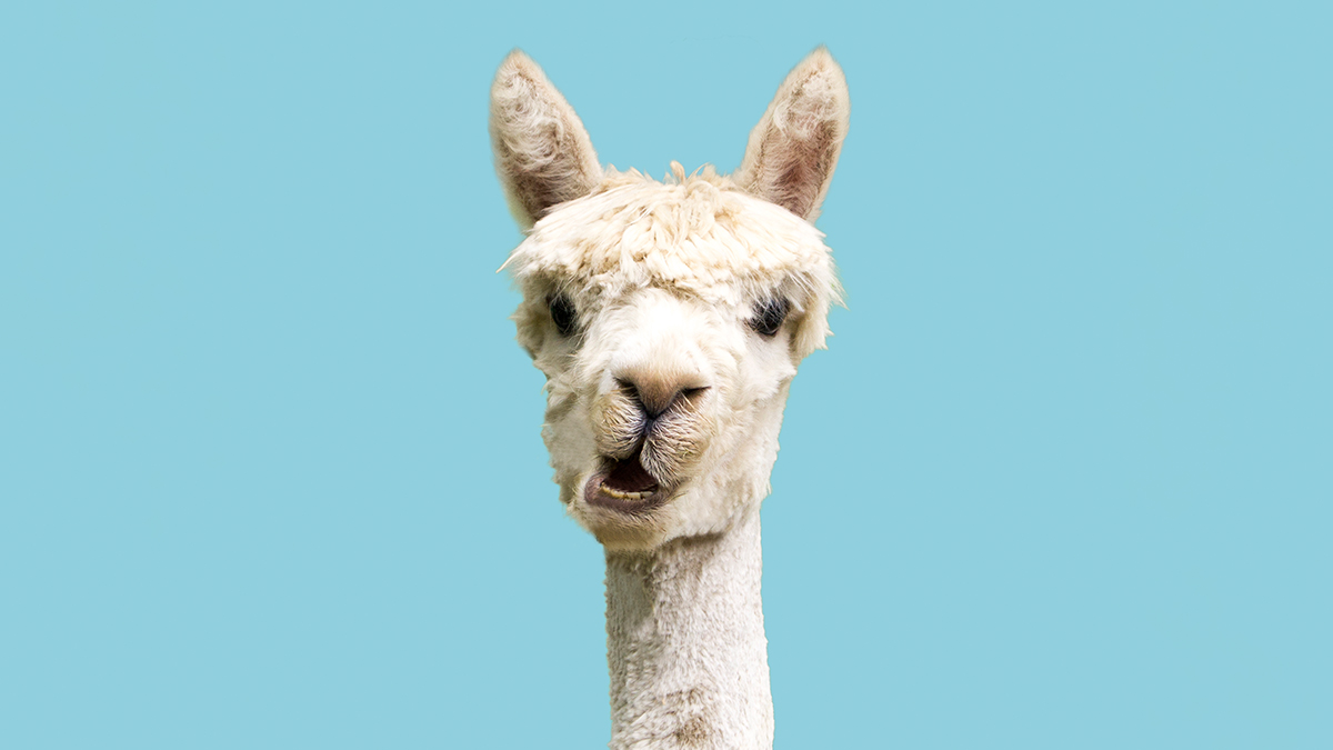 選對時機，大聲說出來