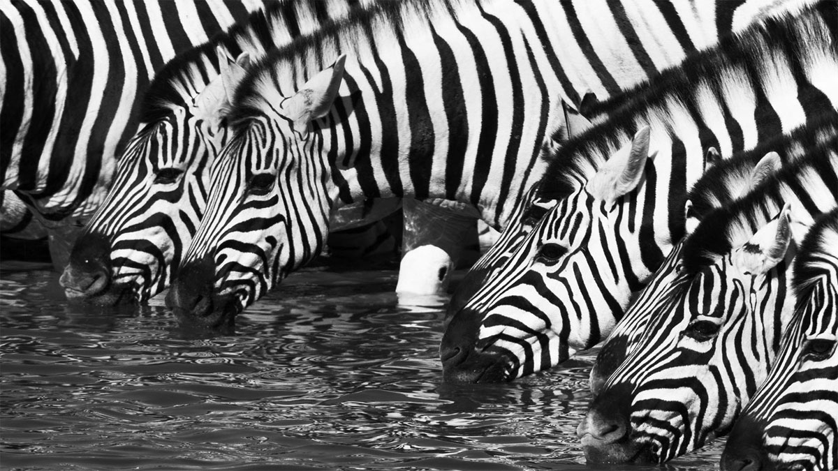 互惠讓同事贊同