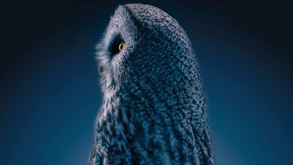 改善你的決策品質，精進判斷力六大要素