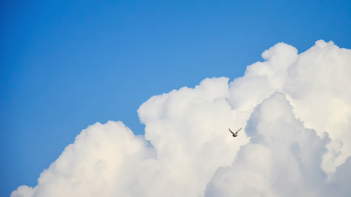 人文學院該如何縮小「技能差距」？