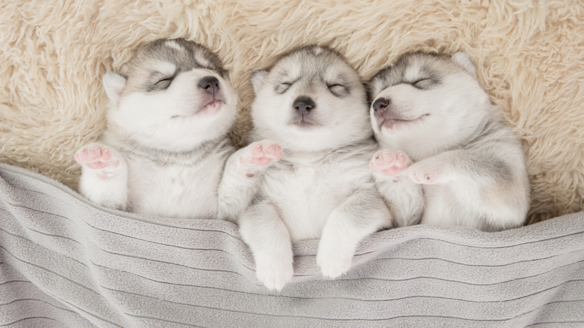 如何度過每天最後的10分鐘