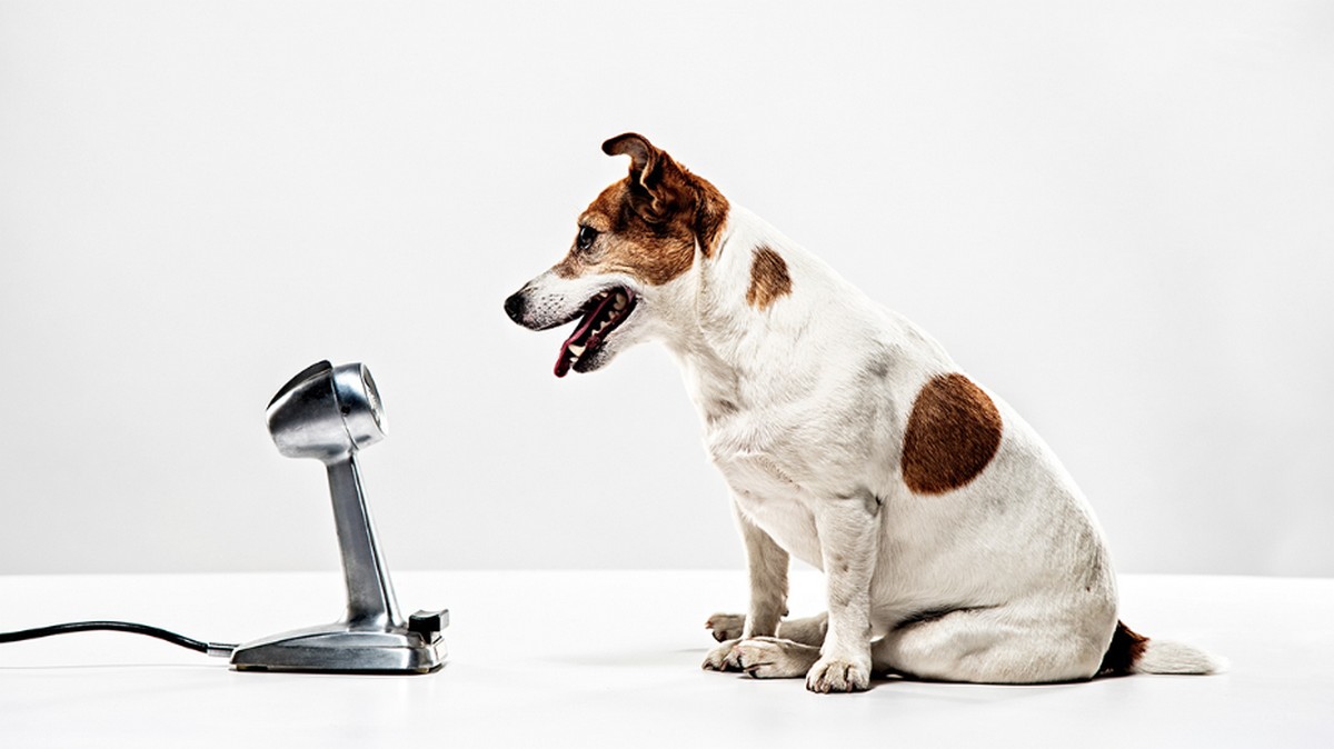 員工不願意建言，是公司文化的錯