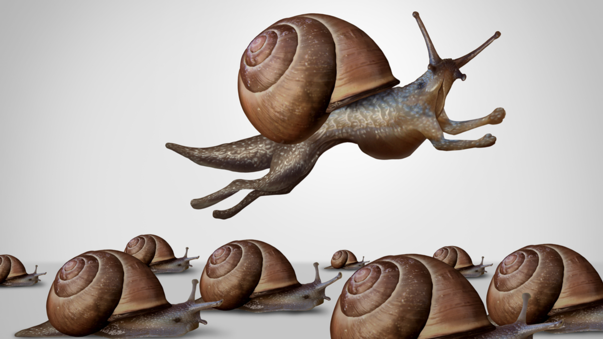 抑制創新的十種原因