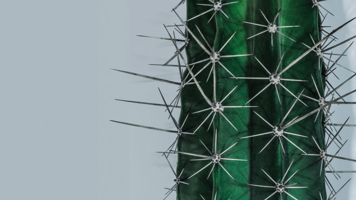 服務情緒化的顧客