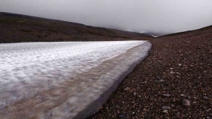 評量：你是「助人過勞」高風險一族嗎？