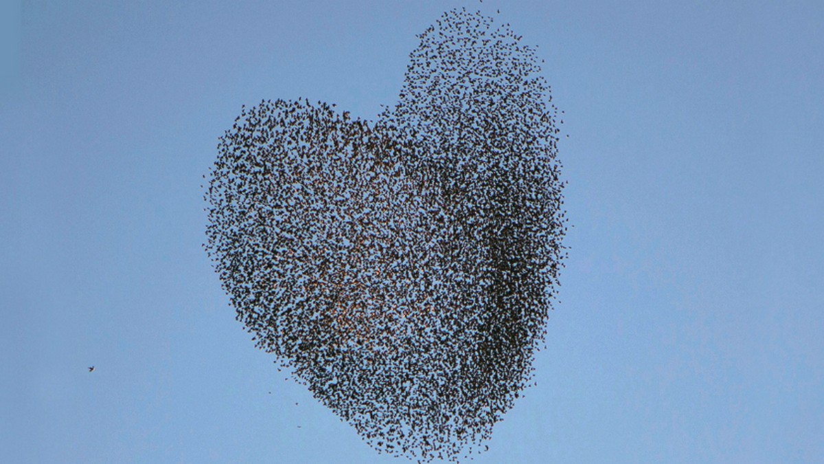 同理心讓你成功領導組織變革