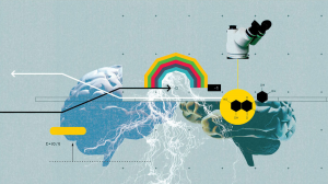 大腦決定何時釋出信任？