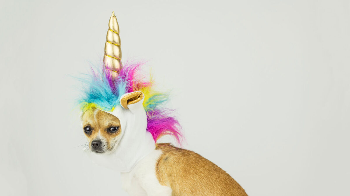 打造「獨一無二的領域」