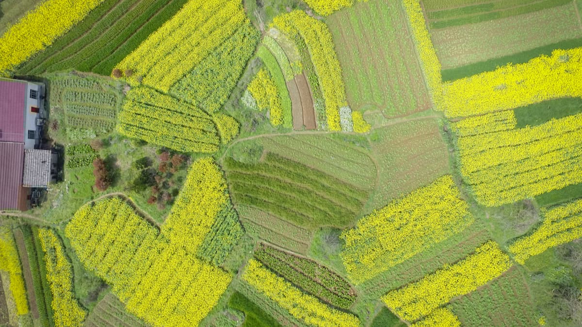 為策略畫張地圖吧