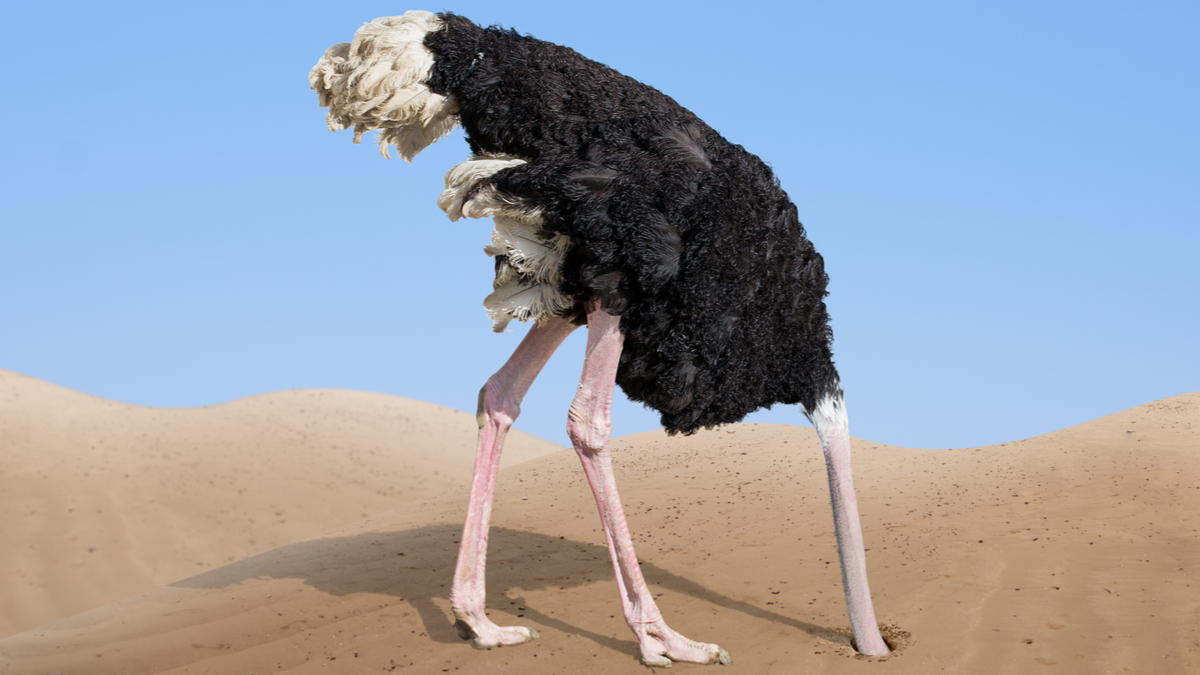 領導人未來會感到更不自在