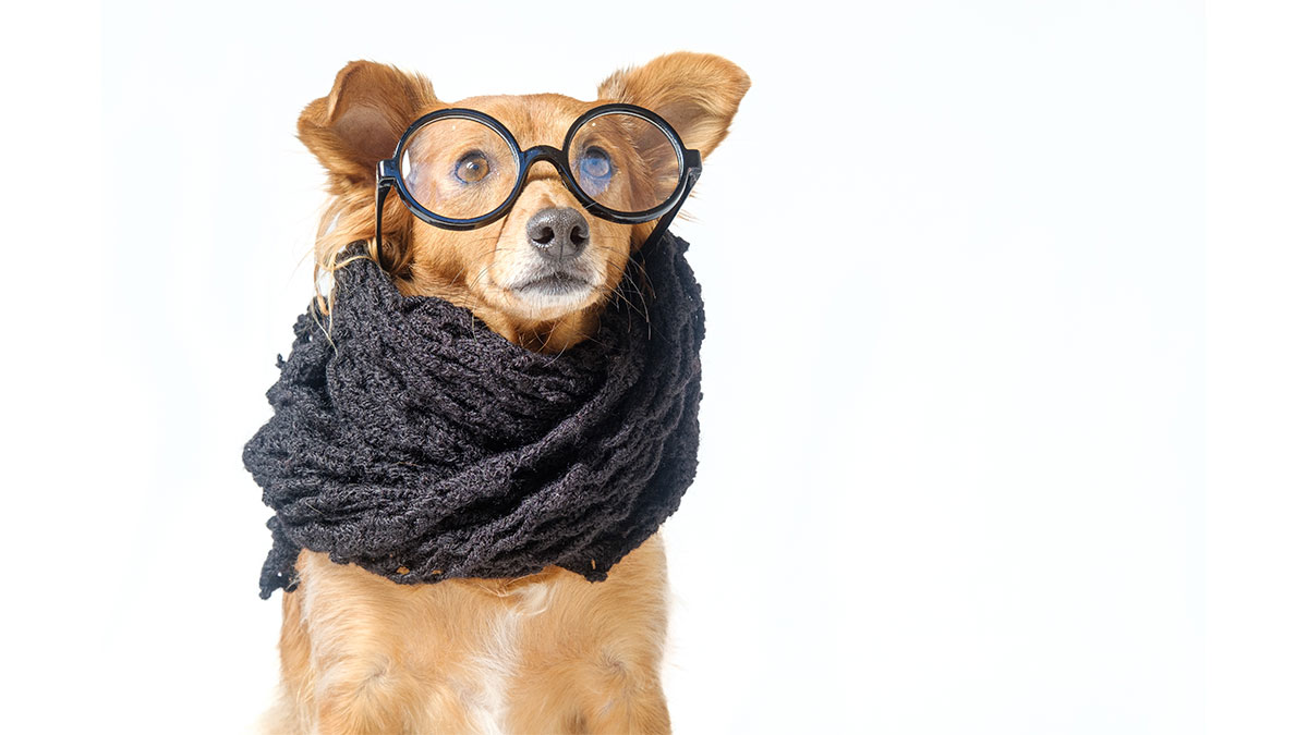 用SCARF模型，把指導對話的威脅感降到最低