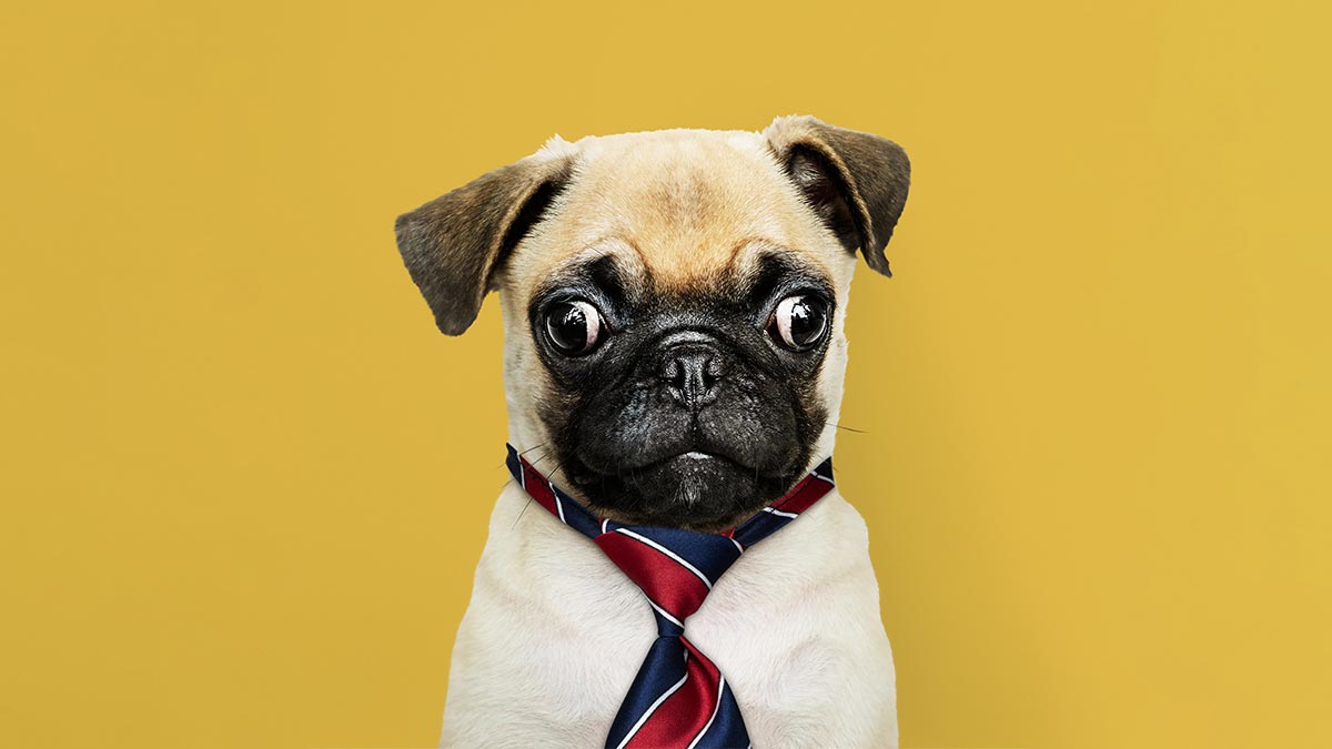 你準備好當主管了嗎？