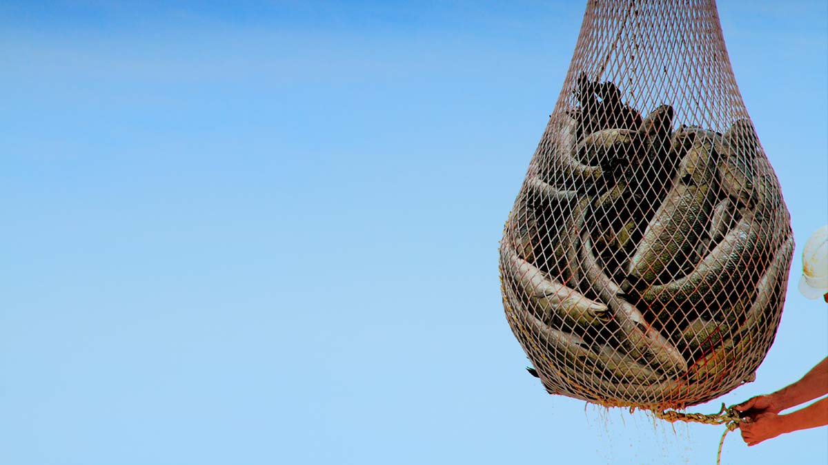 讓你的資料科學家不跳槽