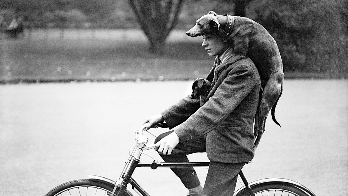 受寵的不是我，上司太偏心怎麼辦？