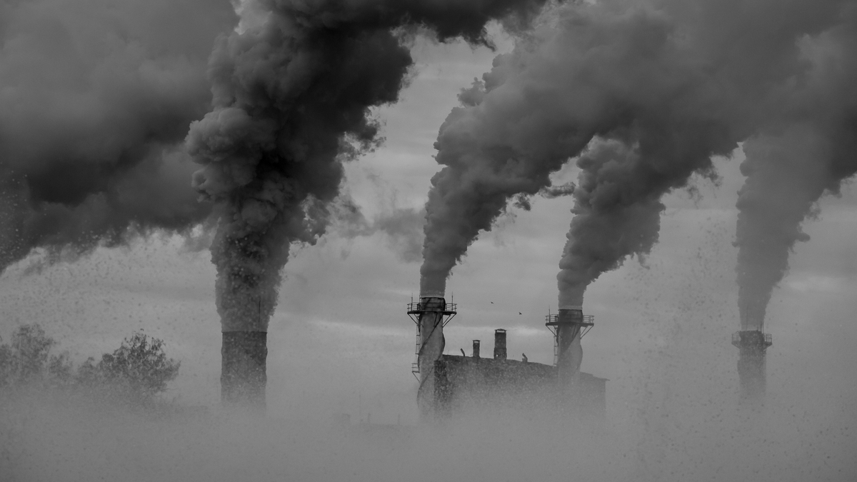 「染黑」的中國熱