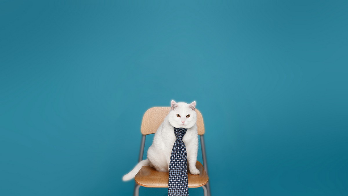 求職面談時如何「自我介紹」？