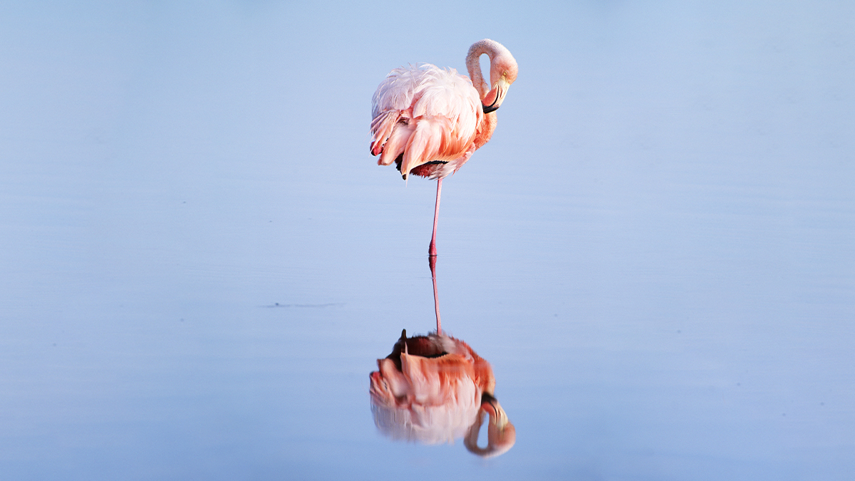 自問三個問題之前，別急著辭職