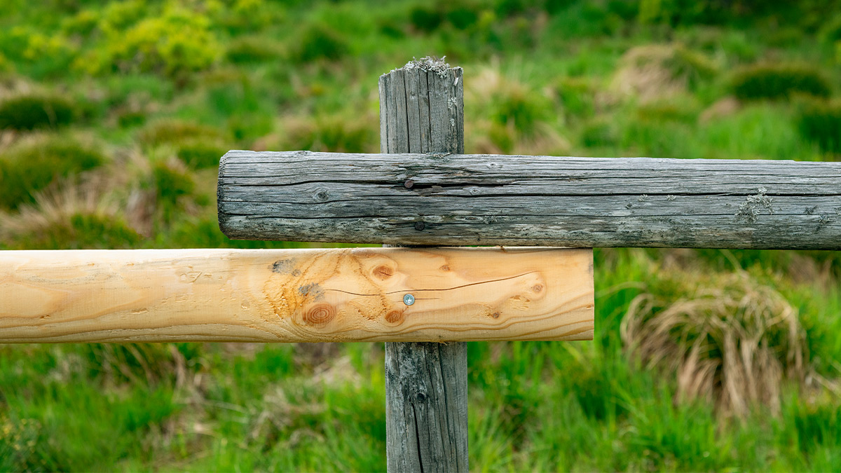 掌握從嬰兒潮到Z世代的人才，五大策略吸引多世代工作者