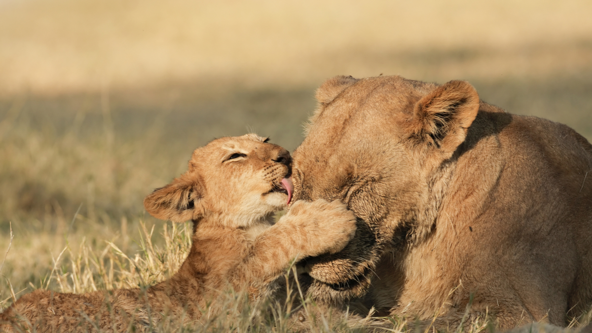 如何強化企業人才庫？汰弱留強的鐵腕柔情