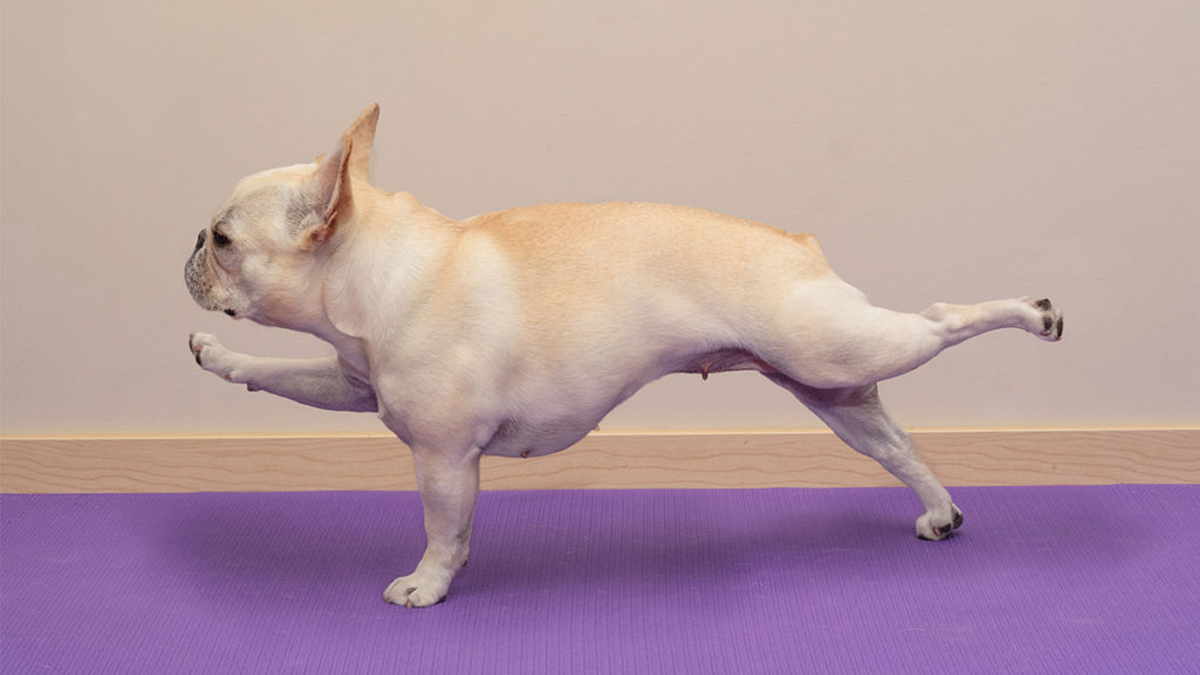 職場父母，請留點時間給嗜好