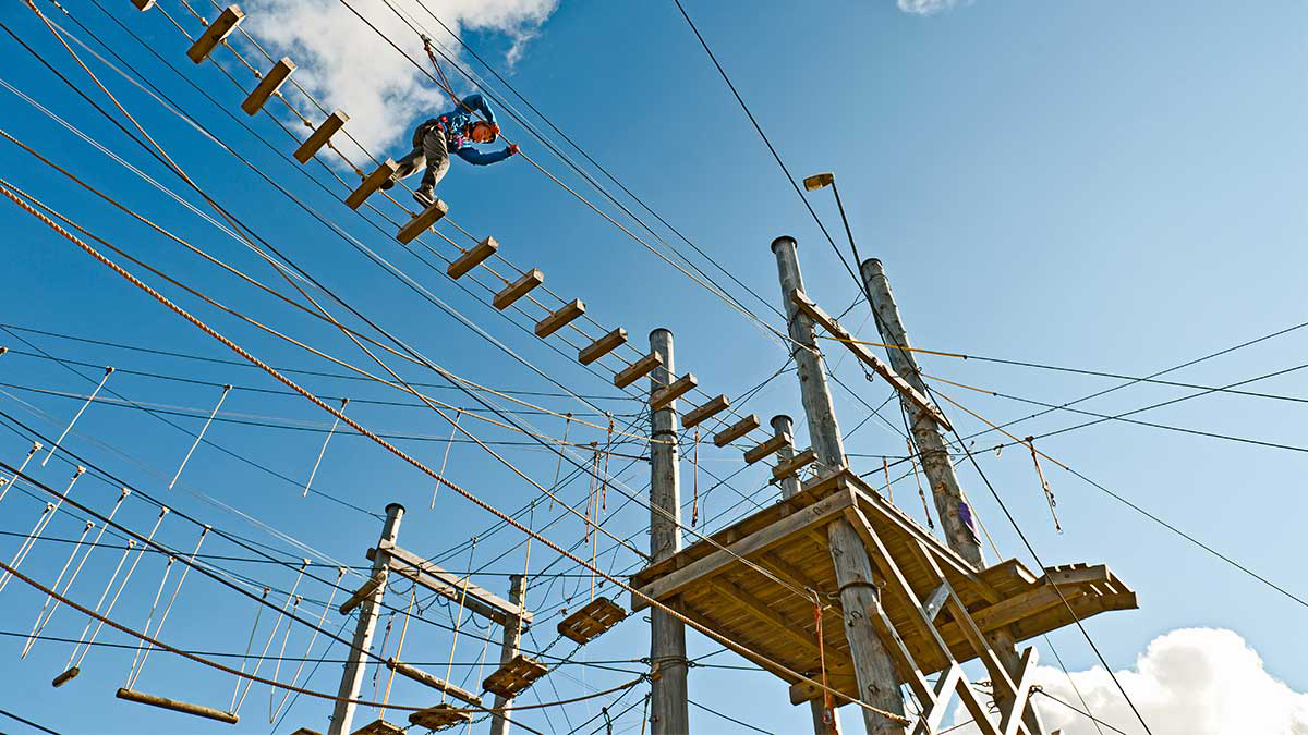 新同事來了，該對他透露公司內幕嗎？