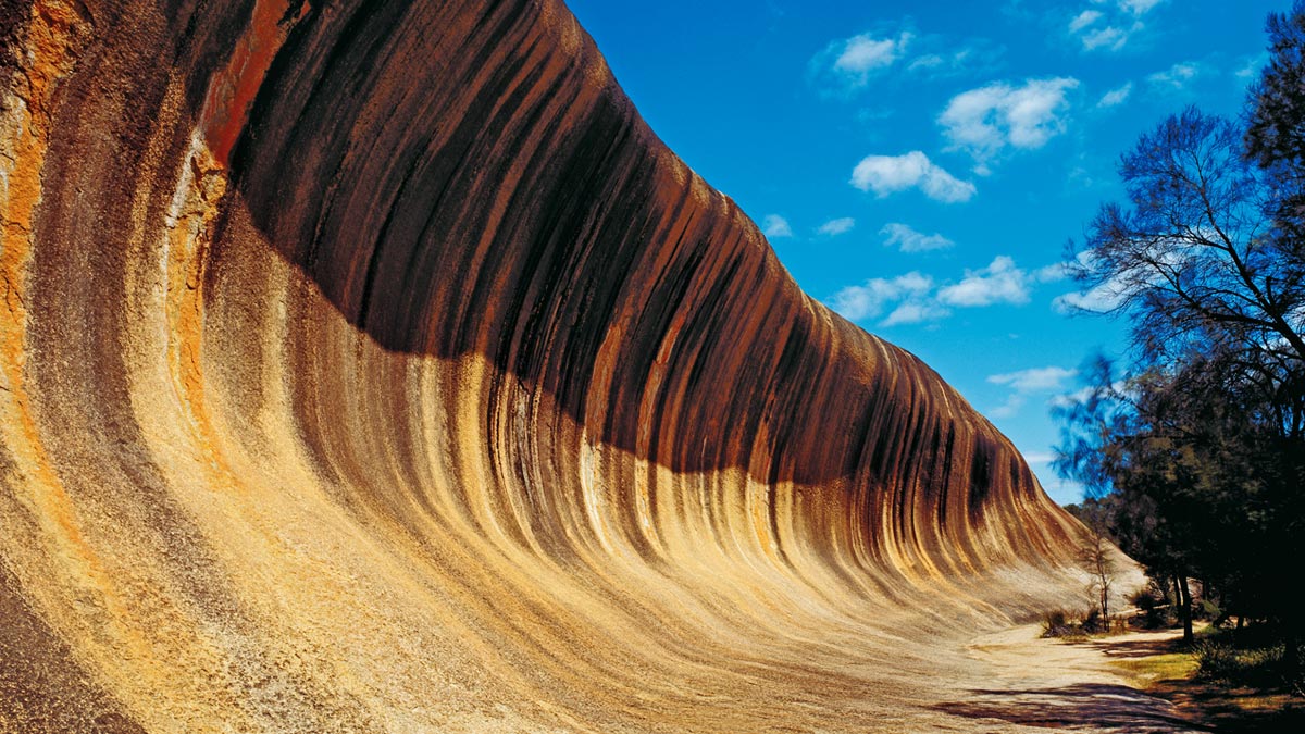 競爭力如何形塑策略