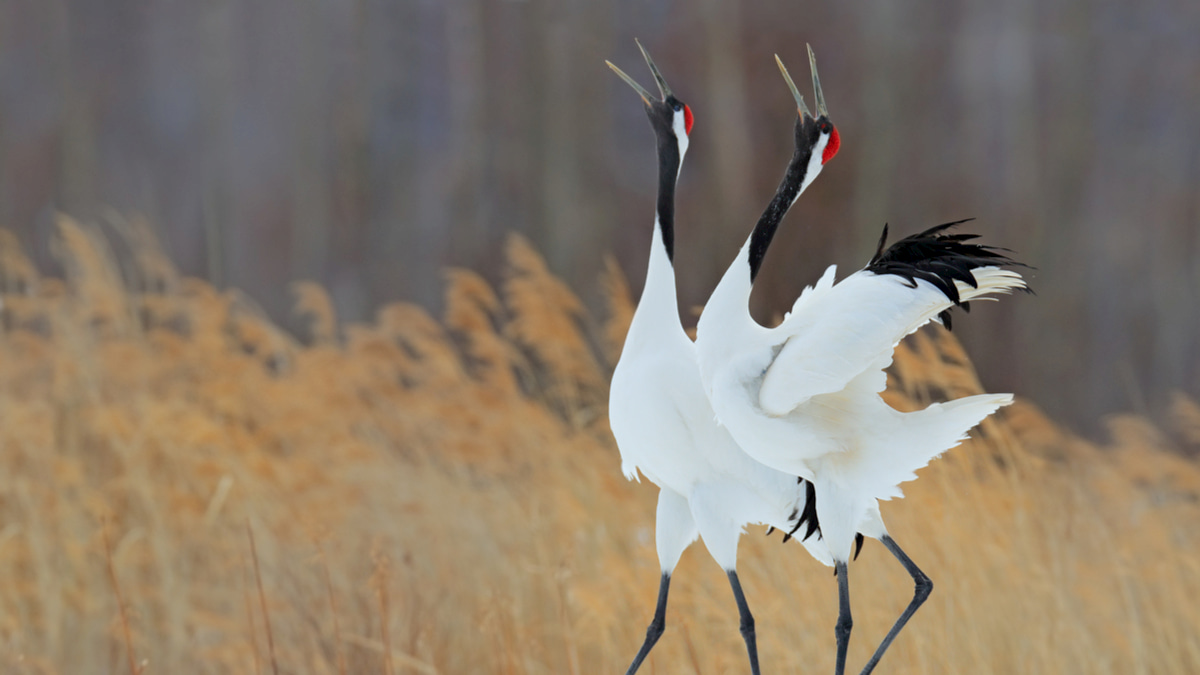 另一半就是你的伯樂