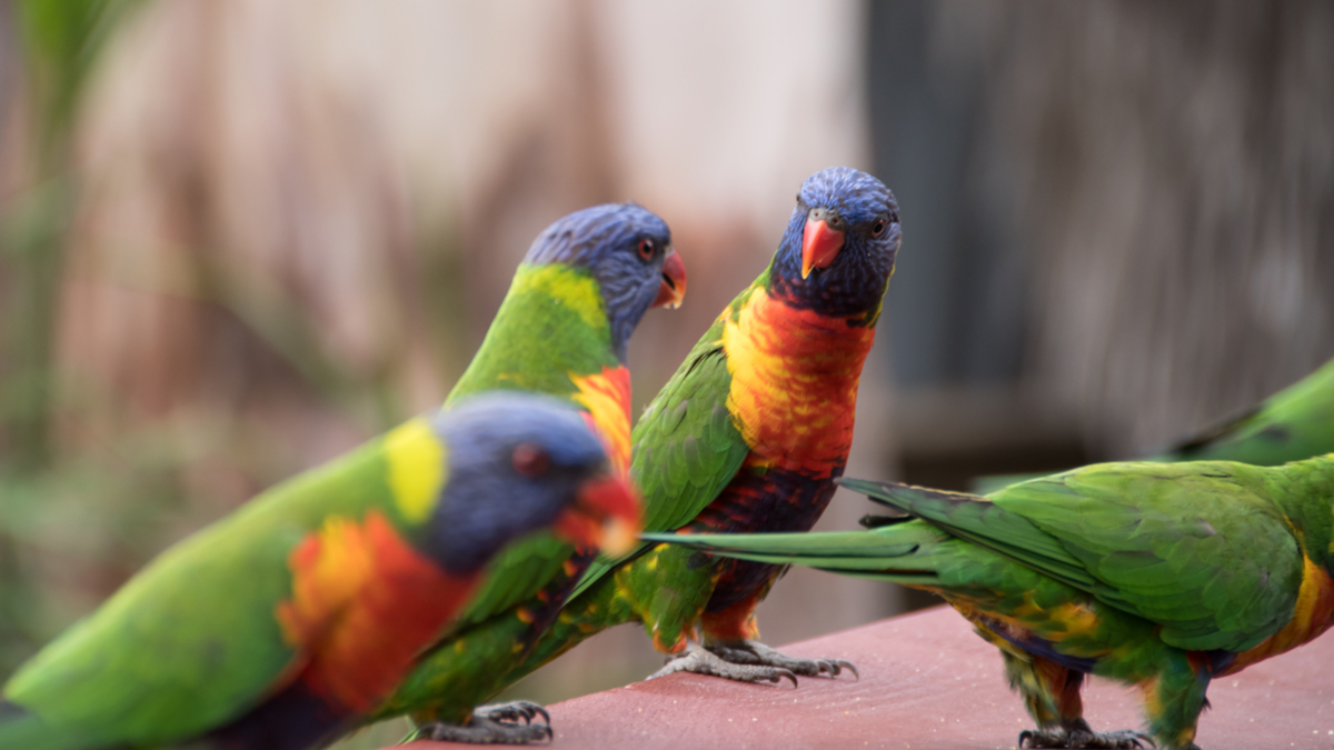 如何以對話來解決衝突？