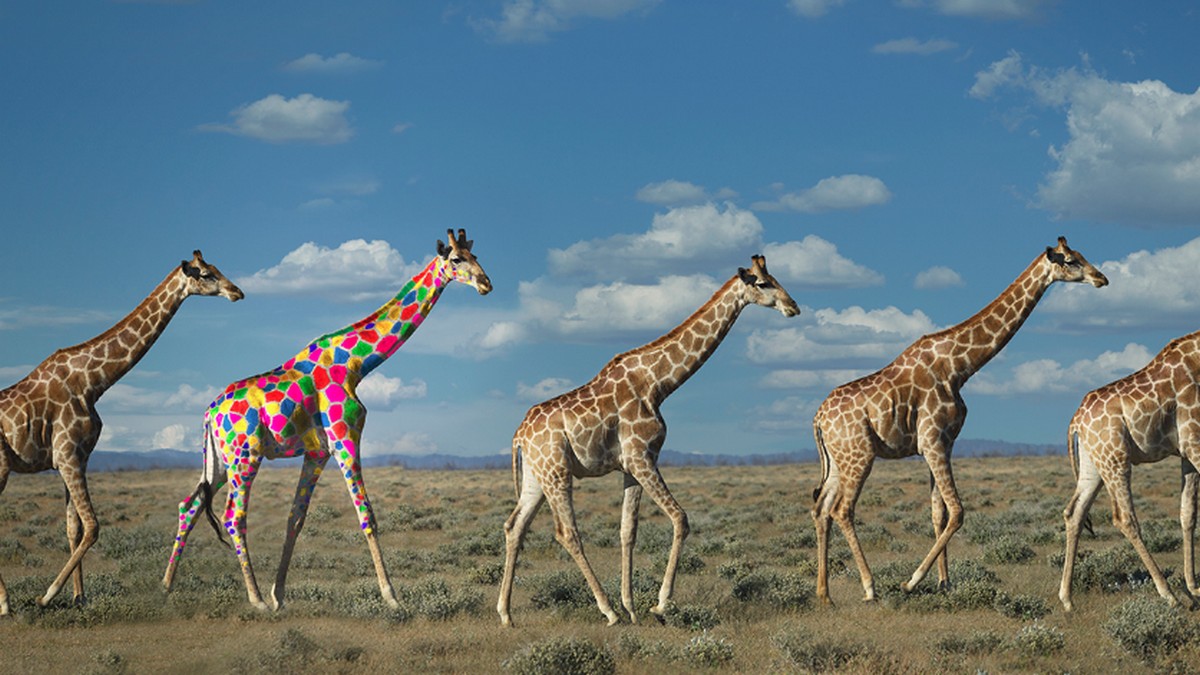 鼓勵所屬團隊的創業思維