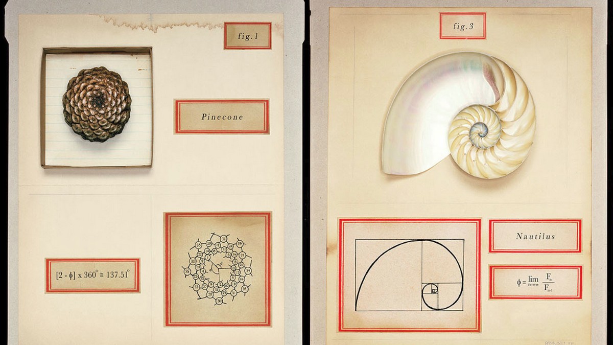 最重要的變數是結構，而不是文化》打造創新方程式