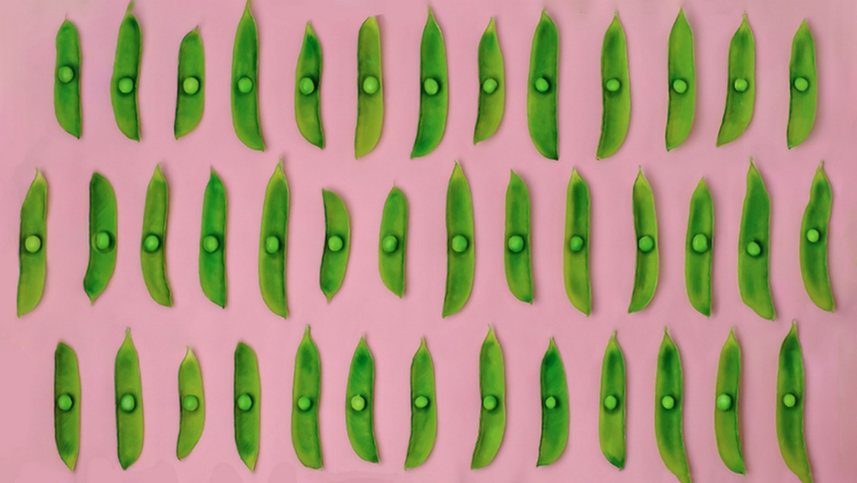 大多數分析專案沒那麼需要大數據